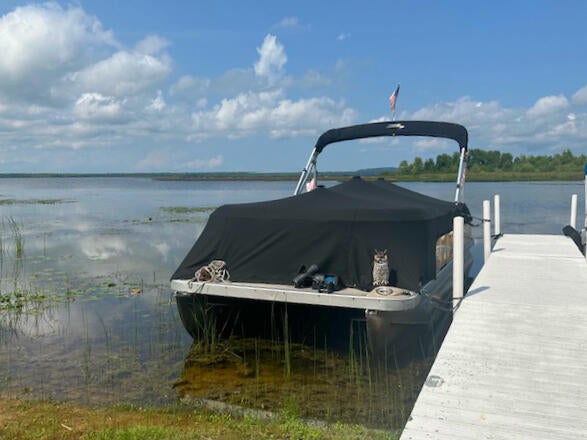 1114 North Black River Road Cheboygan, MI 49721 - Photo 8 of 63 Gallery Image 8