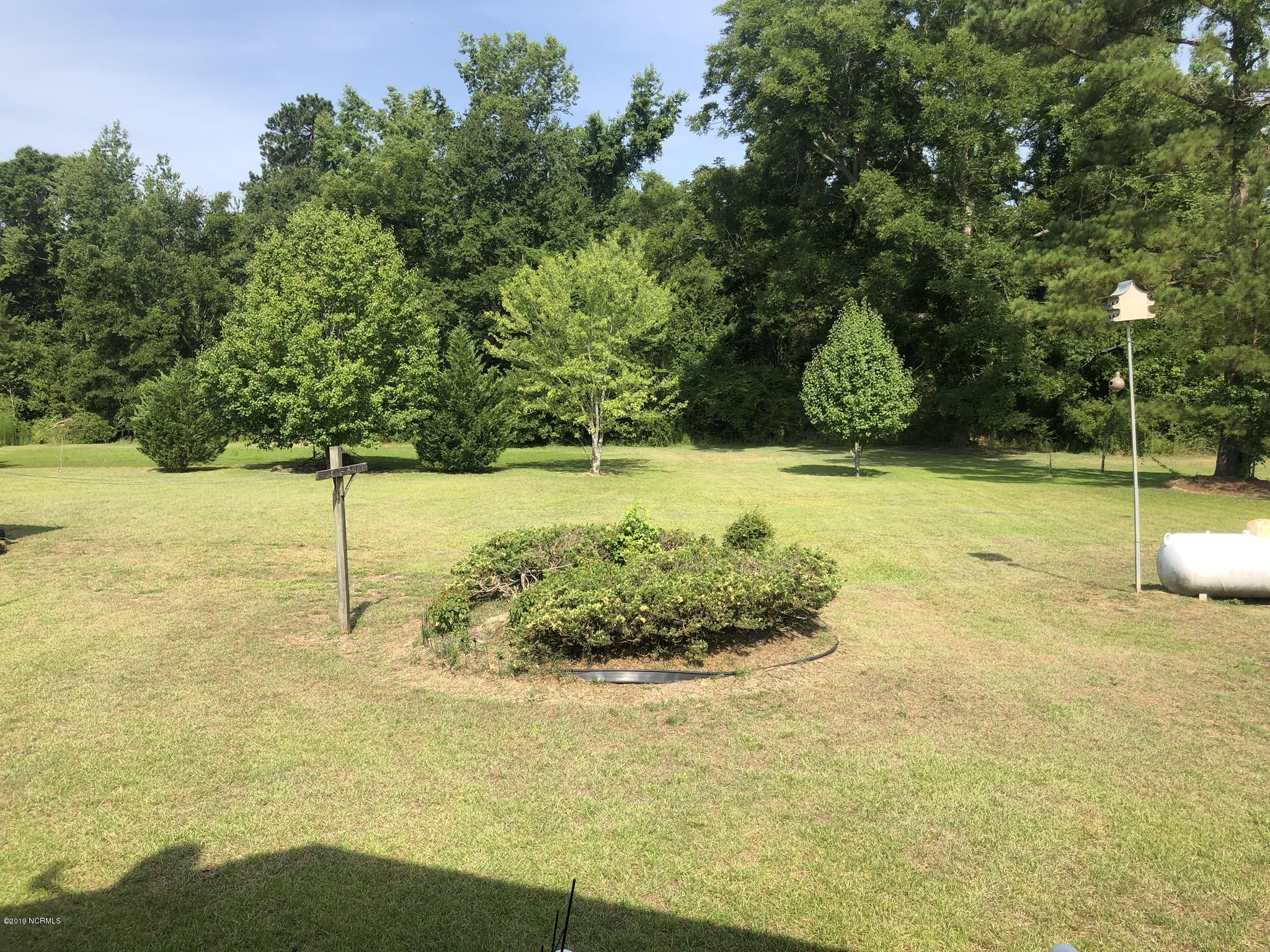1584 Microwave Tower Road Council, NC 28434 - Photo 42 of 49 Rear Yard View
