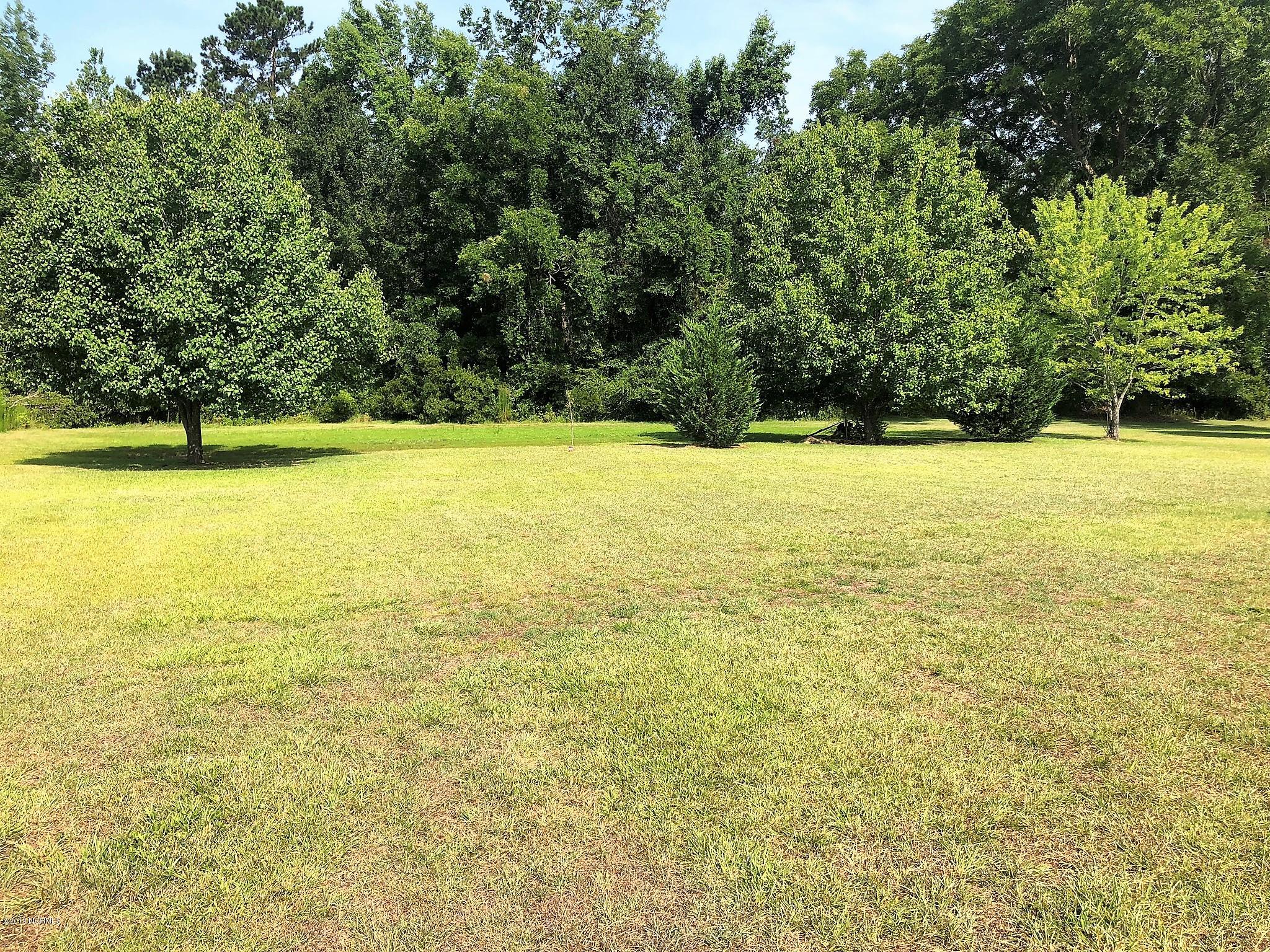 1584 Microwave Tower Road Council, NC 28434 - Photo 43 of 49 Rear Yard View