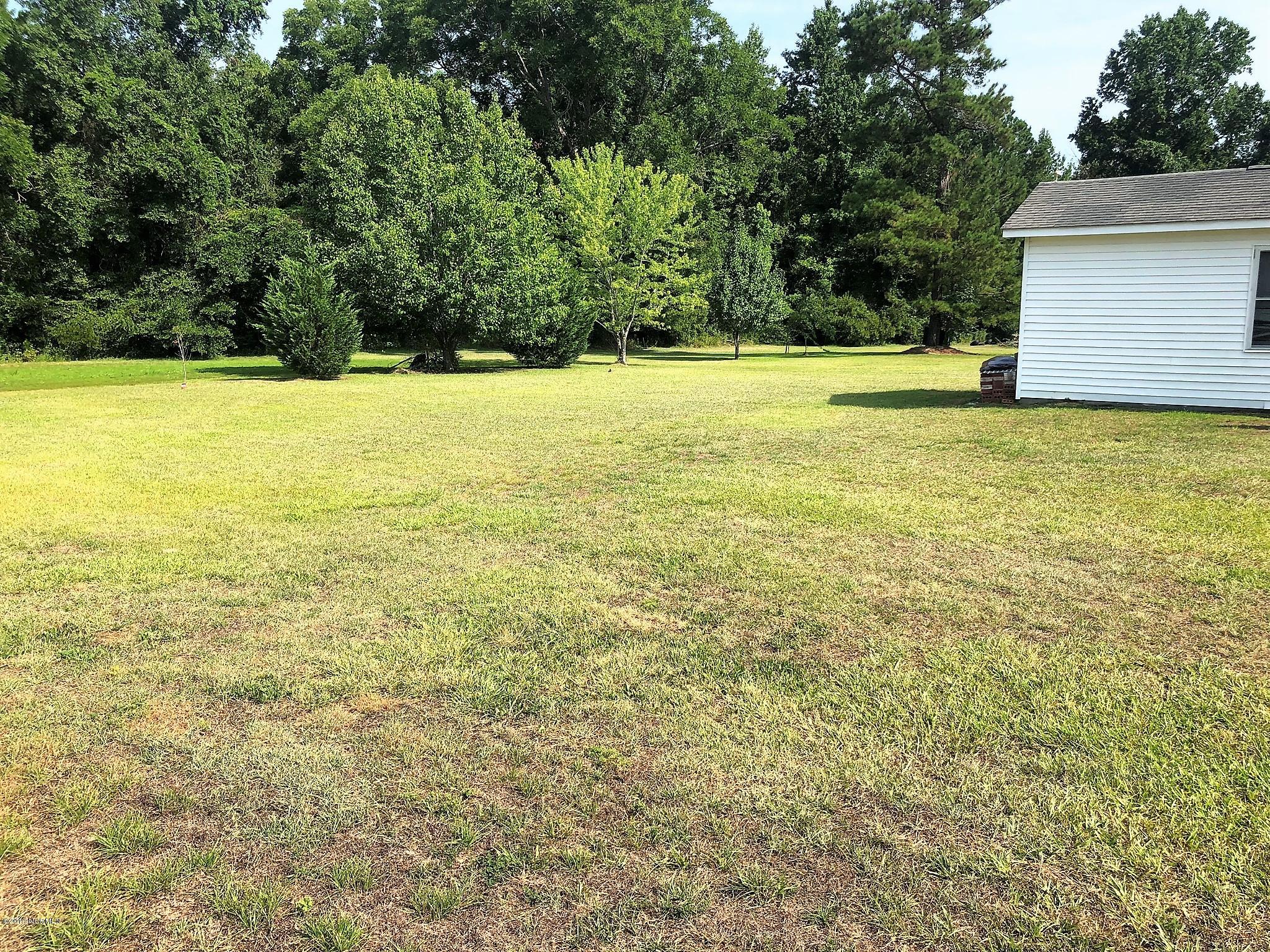 1584 Microwave Tower Road Council, NC 28434 - Photo 44 of 49 Rear Yard View