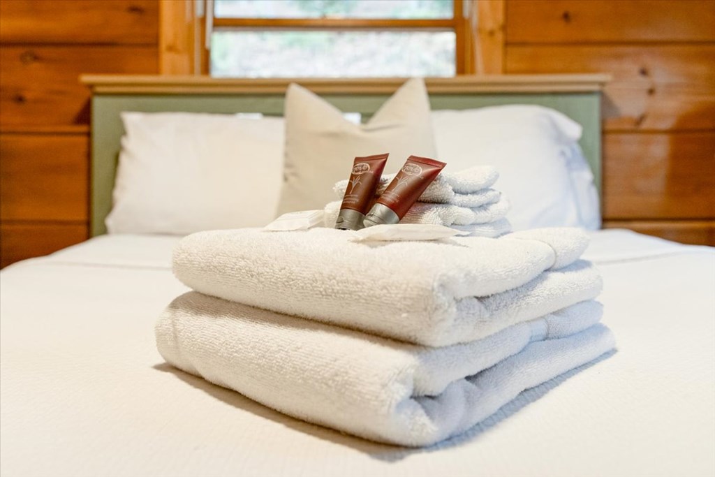 75 Laurel Creek Road Blue Ridge, GA 30513 - Photo 23 of 41