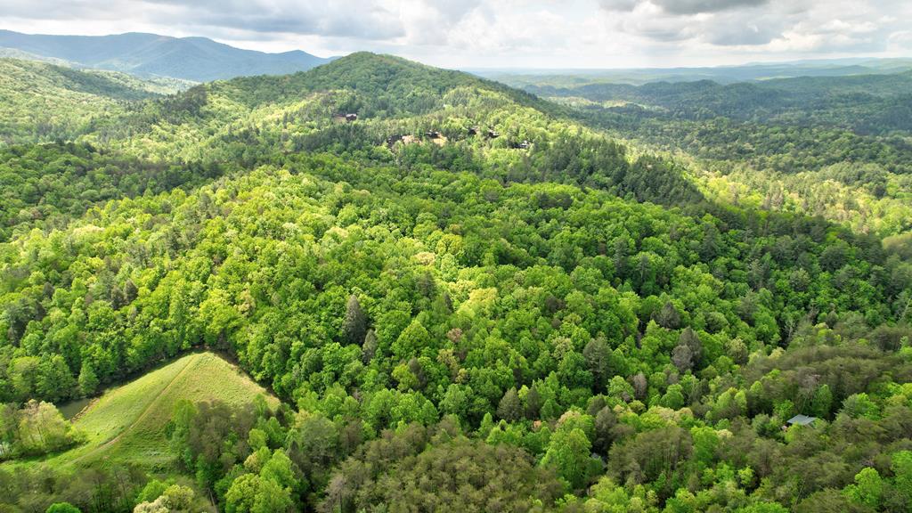 75 Laurel Creek Road Blue Ridge, GA 30513 - Photo 31 of 41