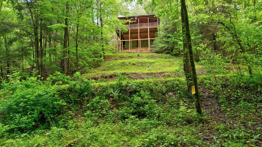 75 Laurel Creek Road Blue Ridge, GA 30513 - Photo 32 of 41