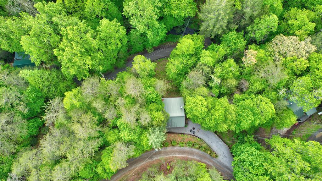 75 Laurel Creek Road Blue Ridge, GA 30513 - Photo 33 of 41