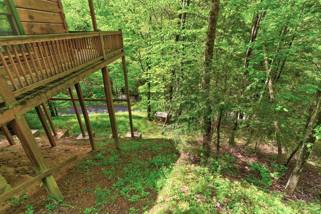 75 Laurel Creek Road Blue Ridge, GA 30513 - Photo 40 of 41