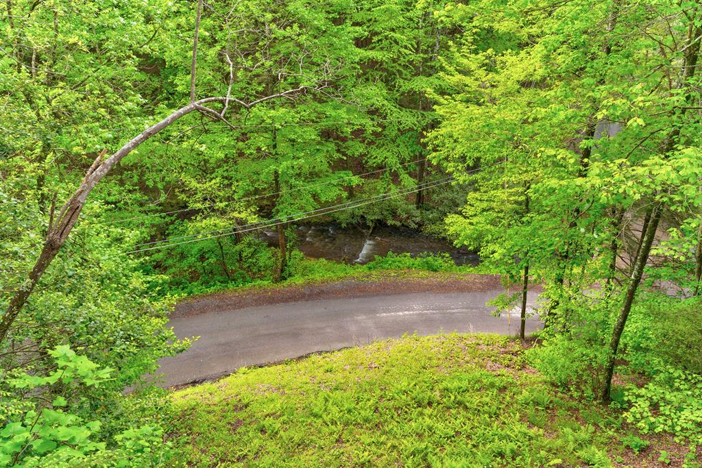 75 Laurel Creek Road Blue Ridge, GA 30513 - Photo 41 of 41