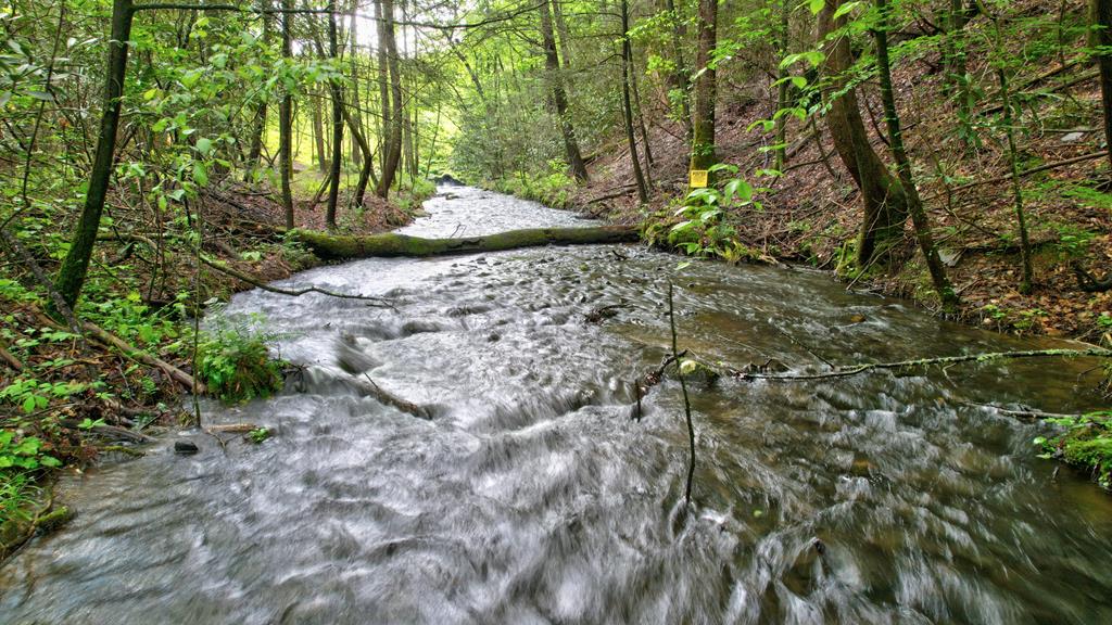 75 Laurel Creek Road Blue Ridge, GA 30513 - Photo 5 of 41
