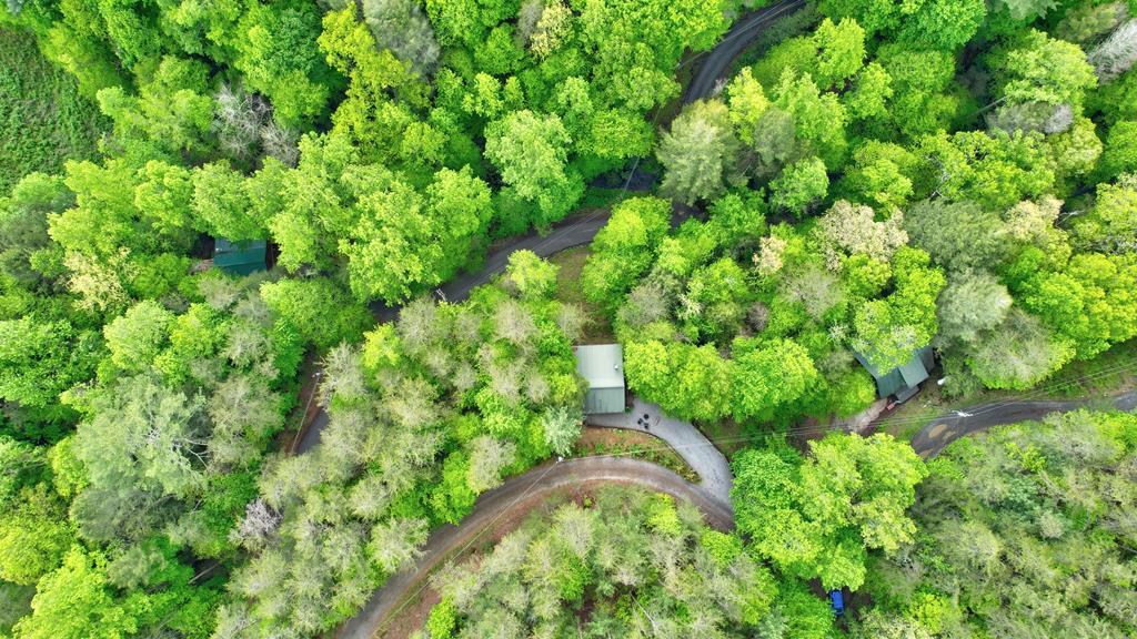 75 Laurel Creek Road Blue Ridge, GA 30513 - Photo 6 of 41