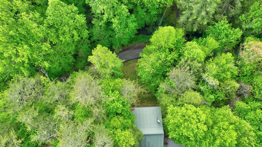 75 Laurel Creek Road Blue Ridge, GA 30513 - Photo 7 of 41