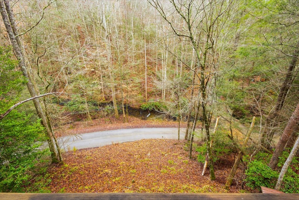 75 Laurel Creek Road Blue Ridge, GA 30513 - Photo 8 of 41