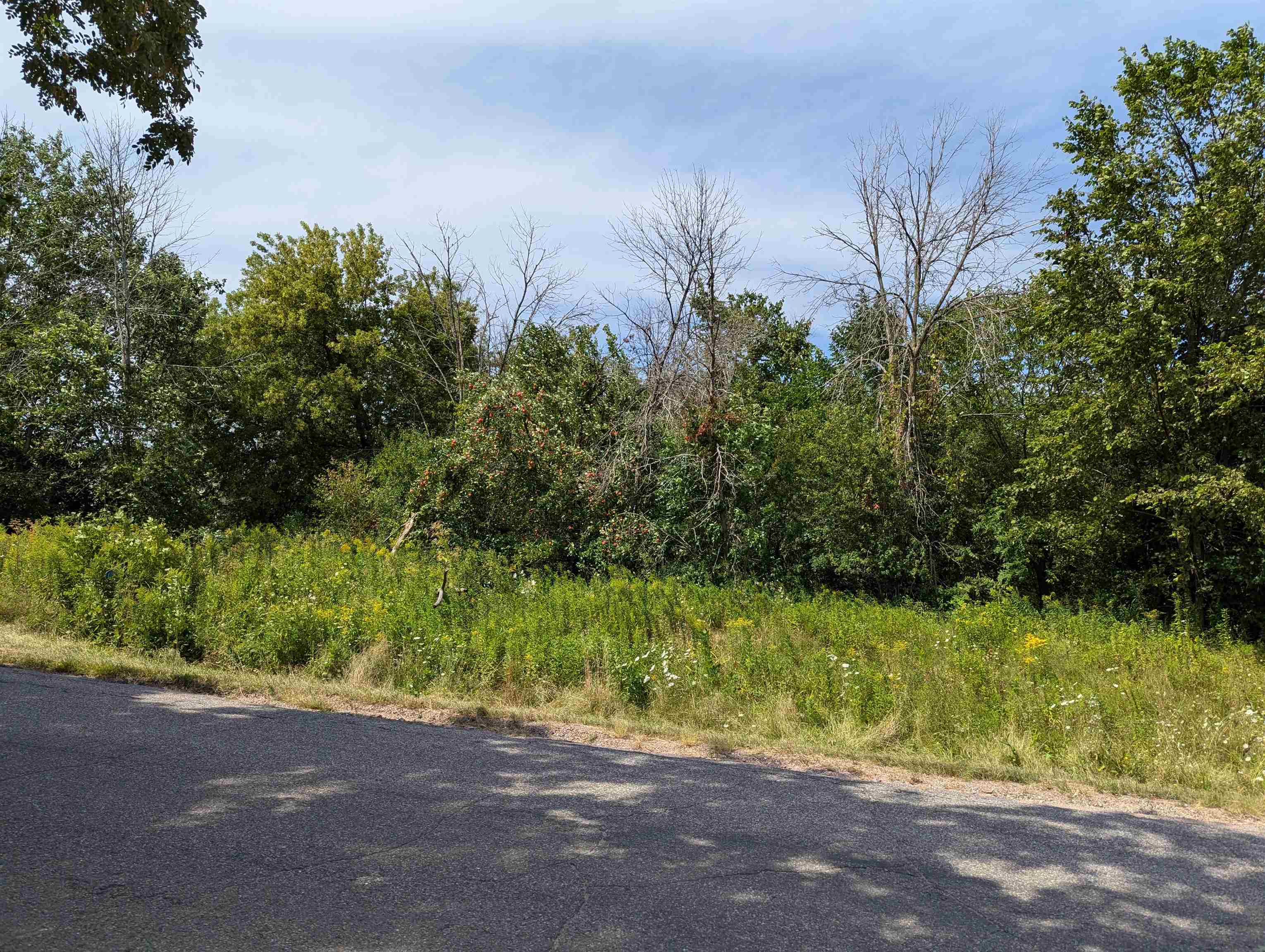 E11086 Hatchery Road Baraboo, WI 53913 - Photo 3 of 5