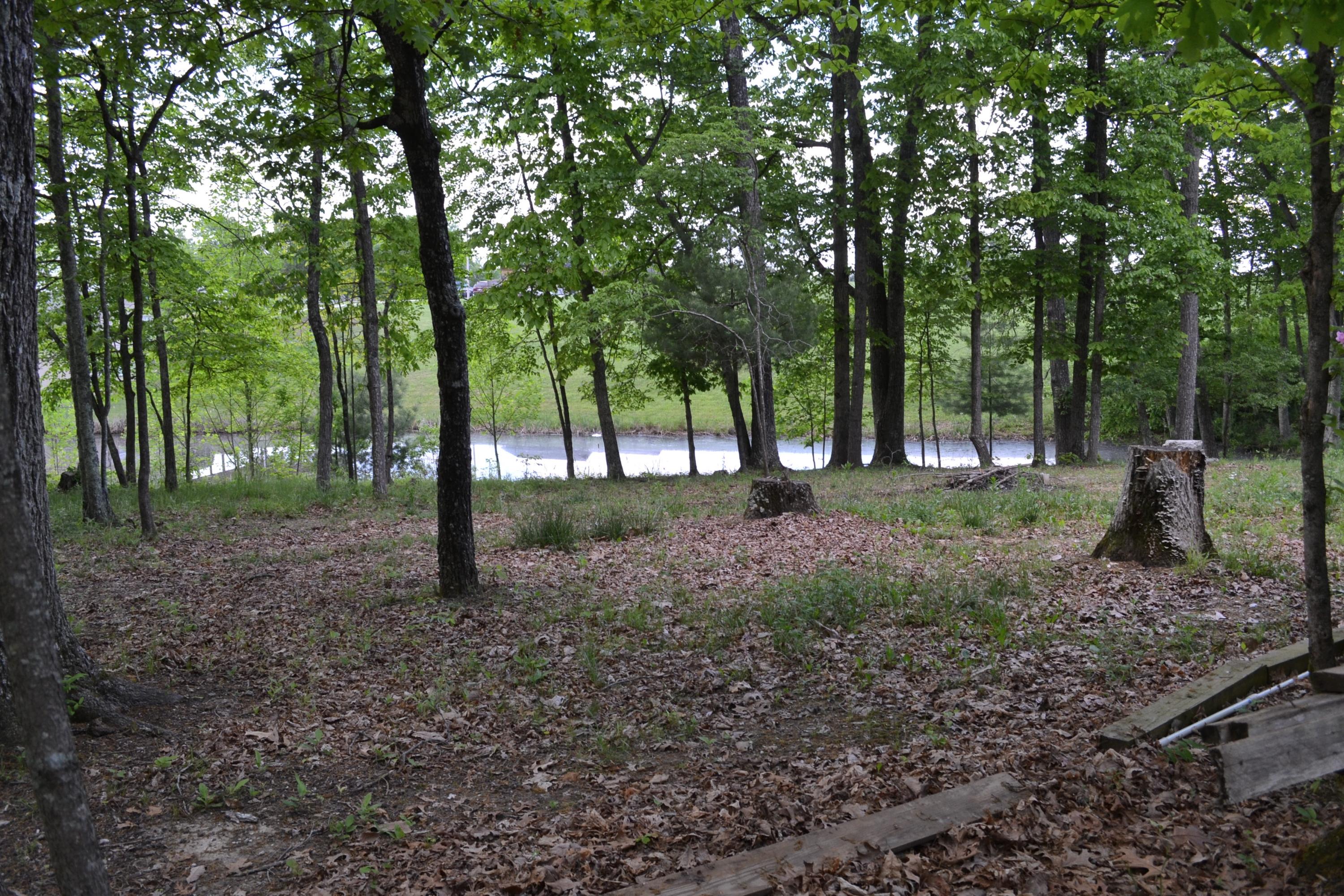 206 Tipton Road Crossville, TN 38571 - Photo 5 of 16 DSC_0329
