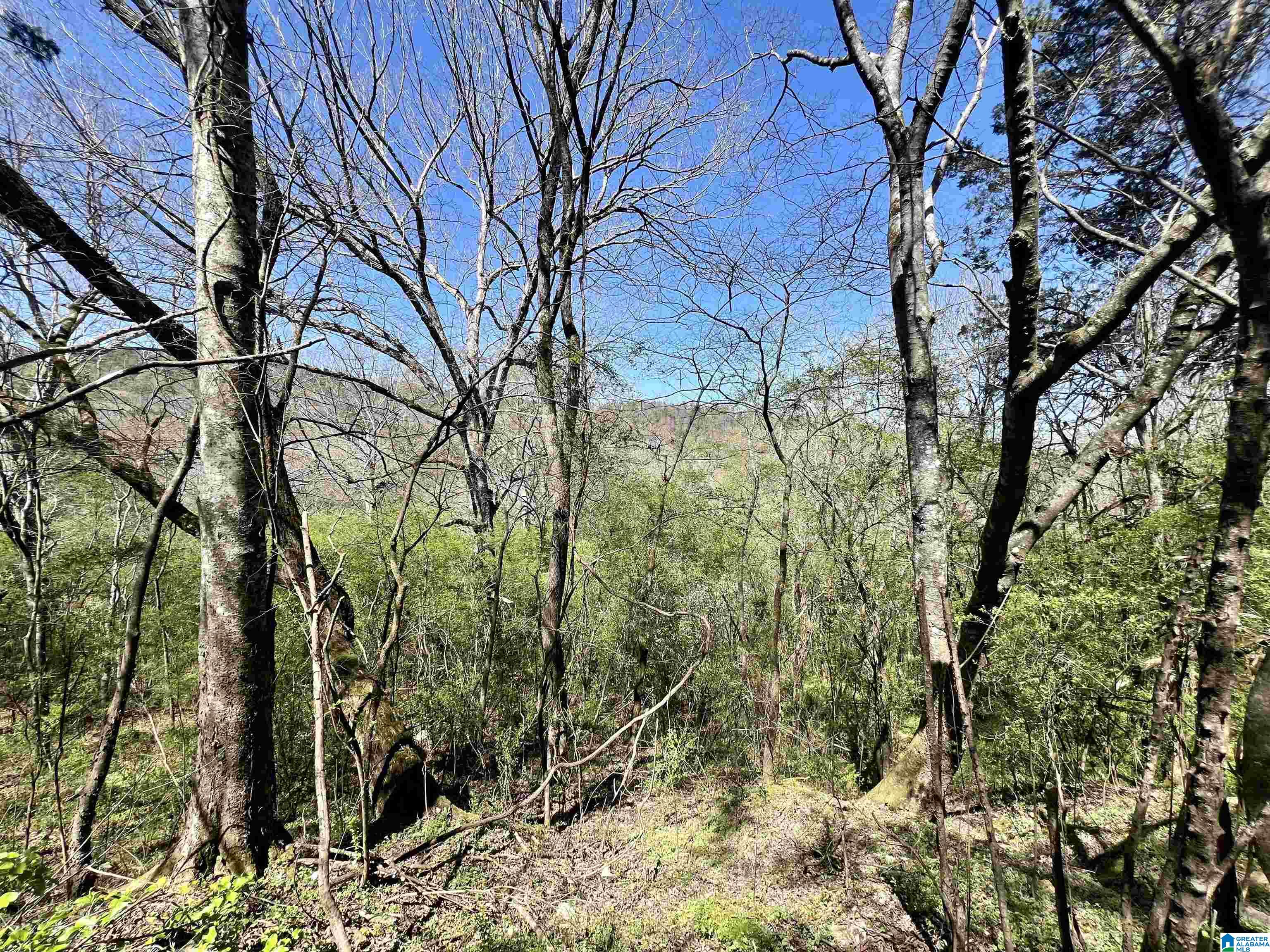 6478 Red Hollow Road, Unit 240 Birmingham, AL 35215 - Photo 16 of 38