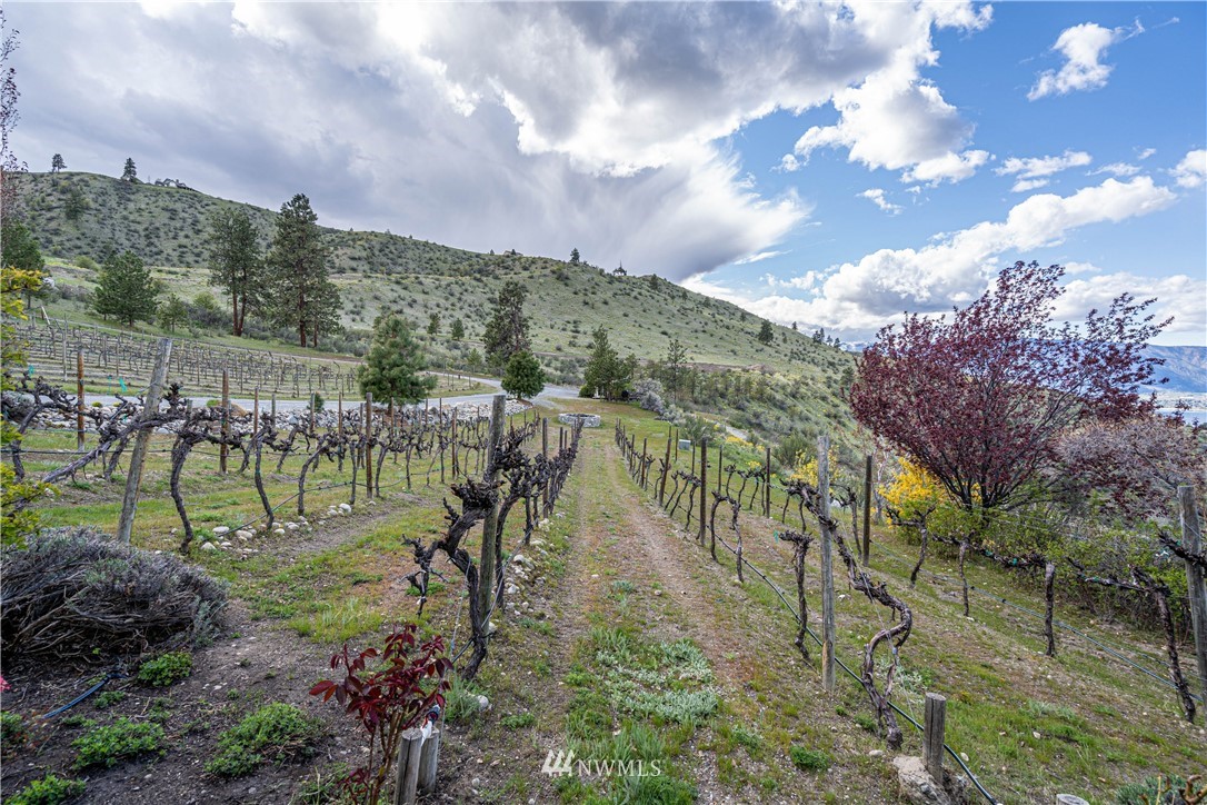1805 Little Butte Ranch Road Chelan, WA 98816 - Photo 32 of 38 Gallery Image 32
