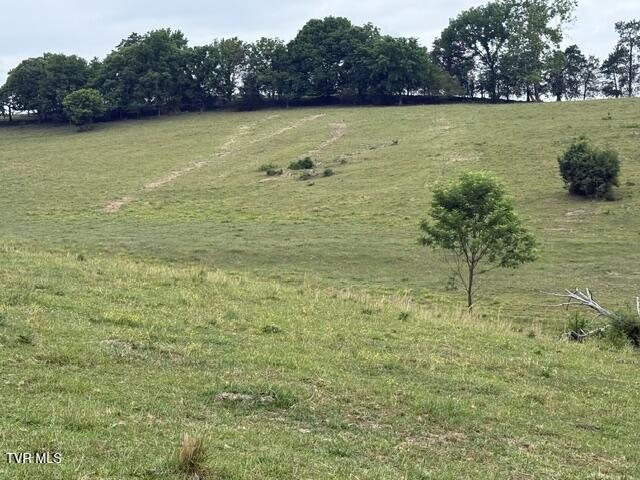 Tbd South Summer Sound Road Piney Flats, TN 37686 - Photo 16 of 22 IMG_8046