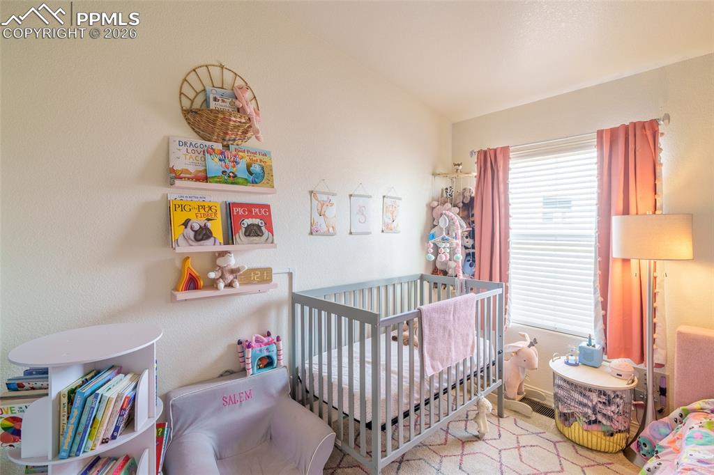 4281 Prestige Point Colorado Springs, CO 80906 - Photo 18 of 27