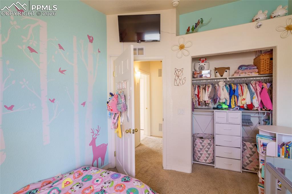 4281 Prestige Point Colorado Springs, CO 80906 - Photo 19 of 27