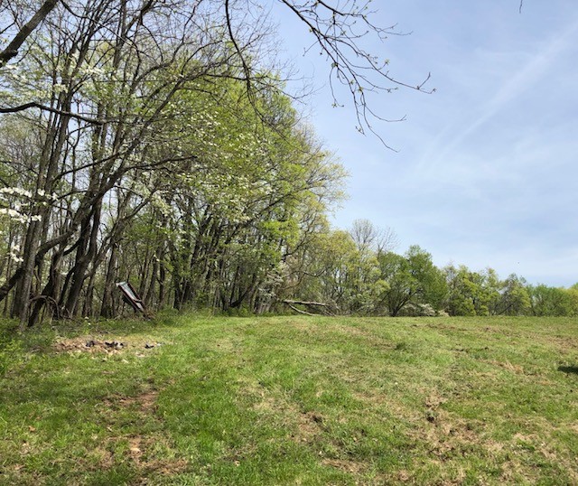Gallery Image 6