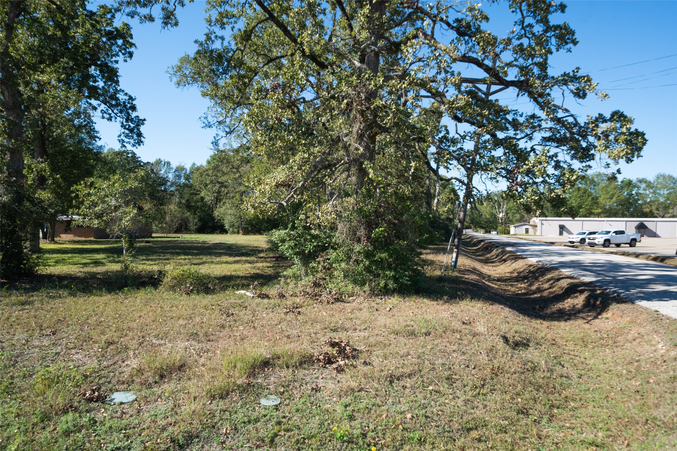 10023 Airport Road Conroe, TX 77303 - Photo 2 of 9 a view of a yard