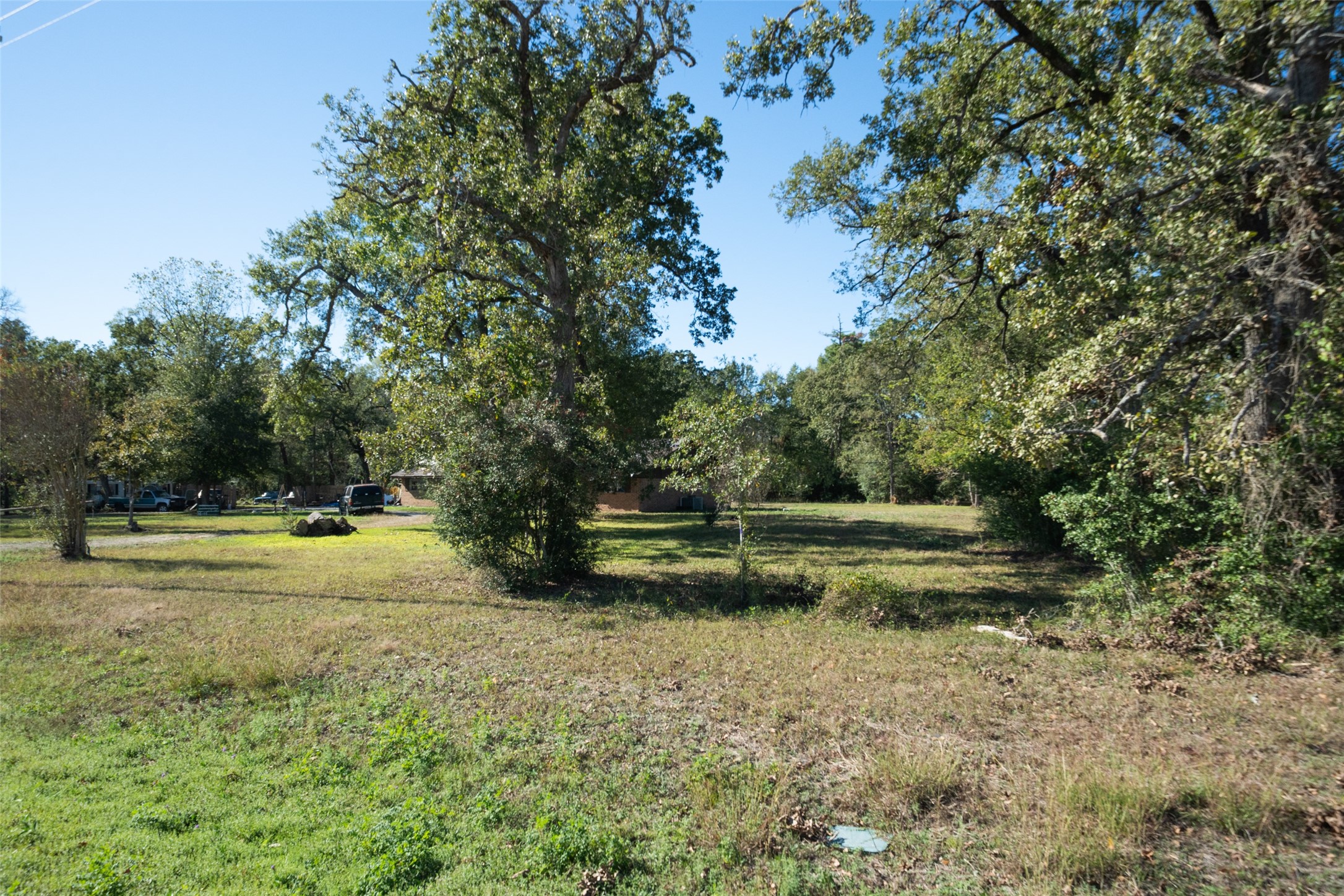 10023 Airport Road Conroe, TX 77303 - Photo 3 of 9 a view of yard with trees