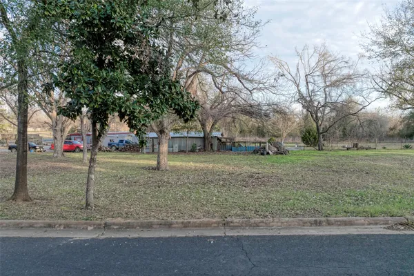 a view of a yard with a tree