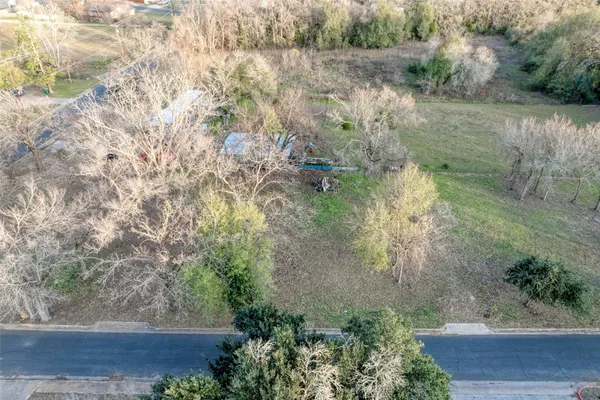 a view of a yard with plants and large trees