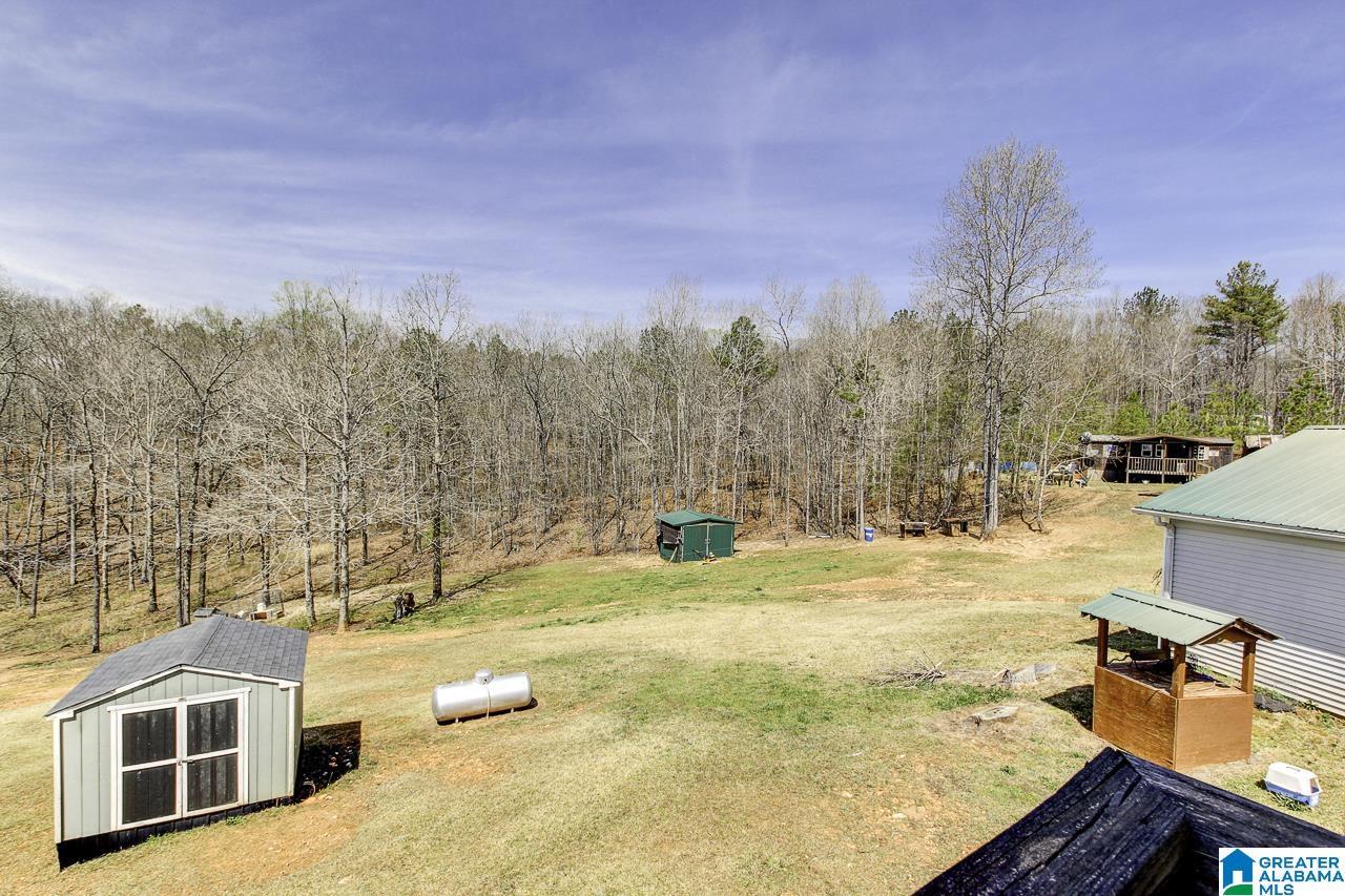 2495 County Road 46 Wedowee, AL 36278 - Photo 48 of 50