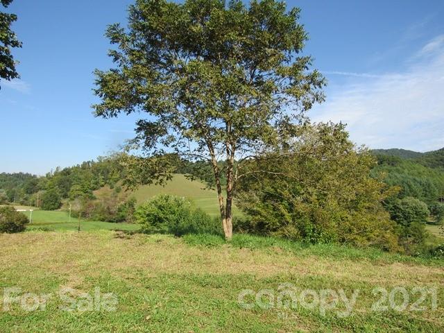 Tbd-5 Ivy Ridge Road Burnsville, NC 28714 - Photo 11 of 18 a view of a yard with a tree