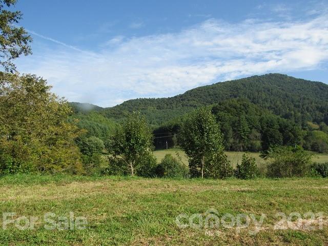 Tbd-5 Ivy Ridge Road Burnsville, NC 28714 - Photo 12 of 18 a view of a big yard with an trees