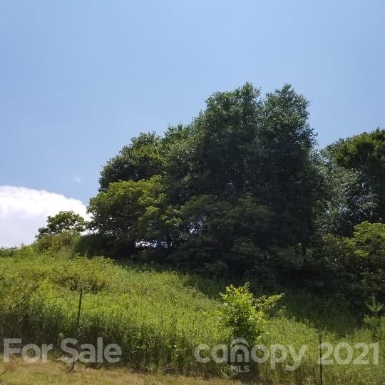 Tbd-5 Ivy Ridge Road Burnsville, NC 28714 - Photo 13 of 18 a view of a garden