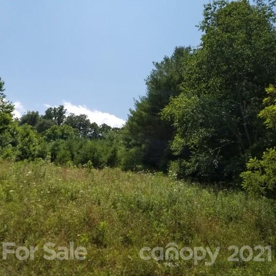 Tbd-5 Ivy Ridge Road Burnsville, NC 28714 - Photo 3 of 18 a view of an outdoor space and a yard