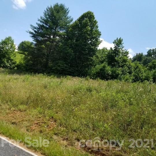 Tbd-5 Ivy Ridge Road Burnsville, NC 28714 - Photo 4 of 18 a view of a lake view