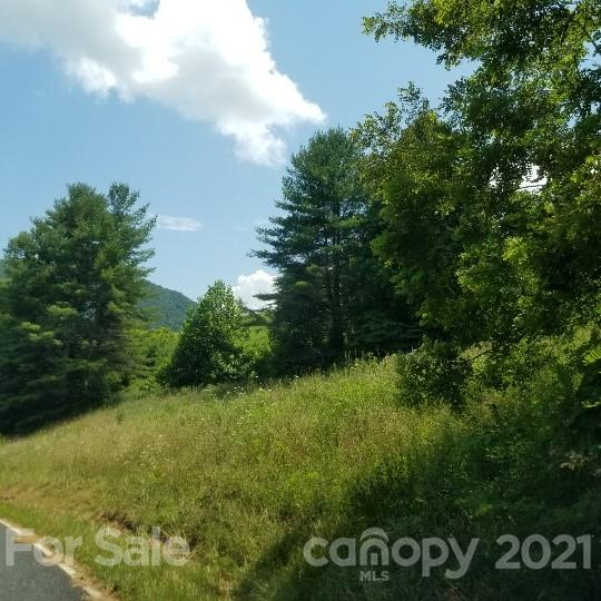 Tbd-5 Ivy Ridge Road Burnsville, NC 28714 - Photo 7 of 18 a view of a yard