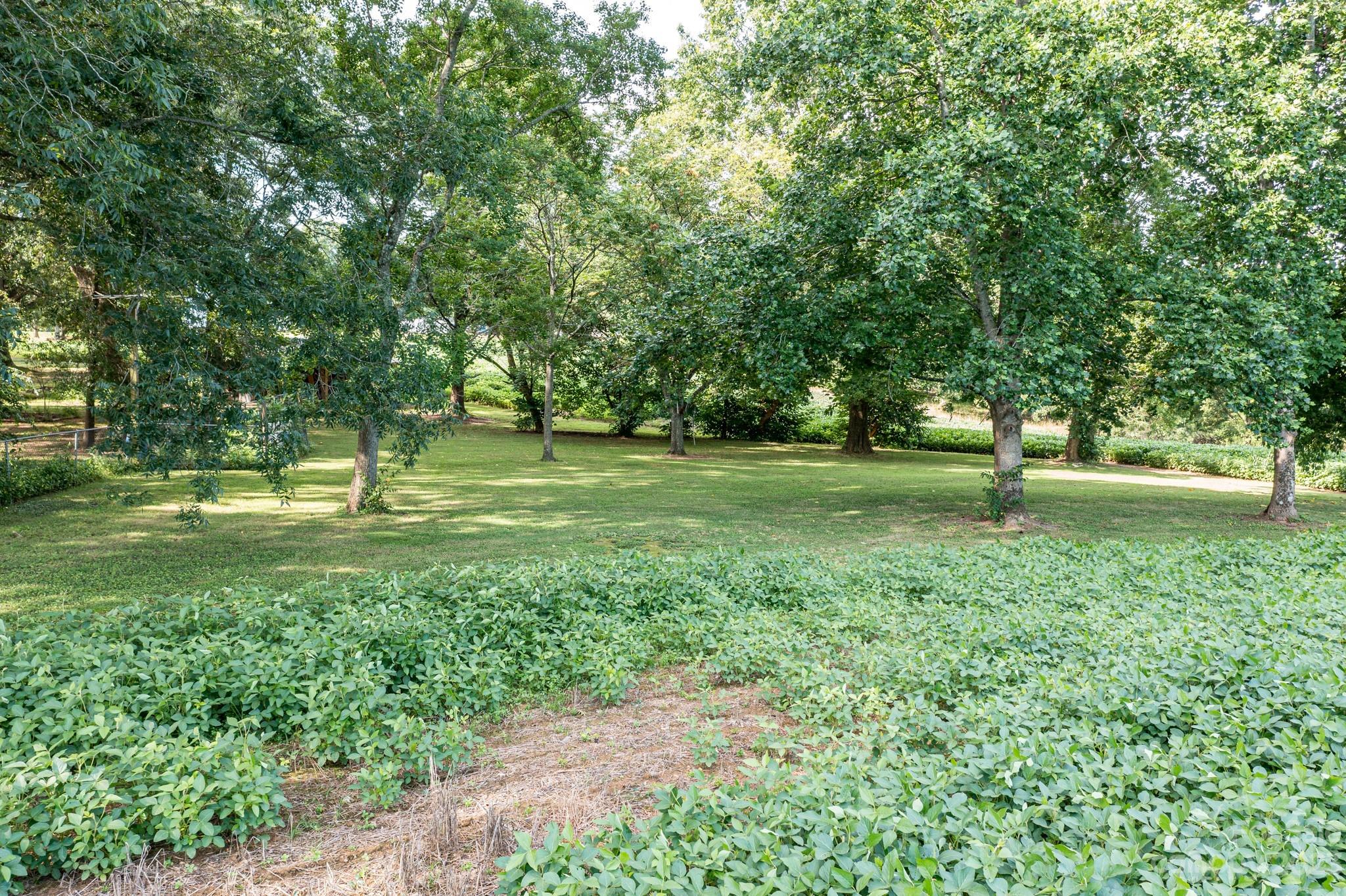 11631 Bridle Road Stanfield, NC 28163 - Photo 48 of 48 Gallery Image 48
