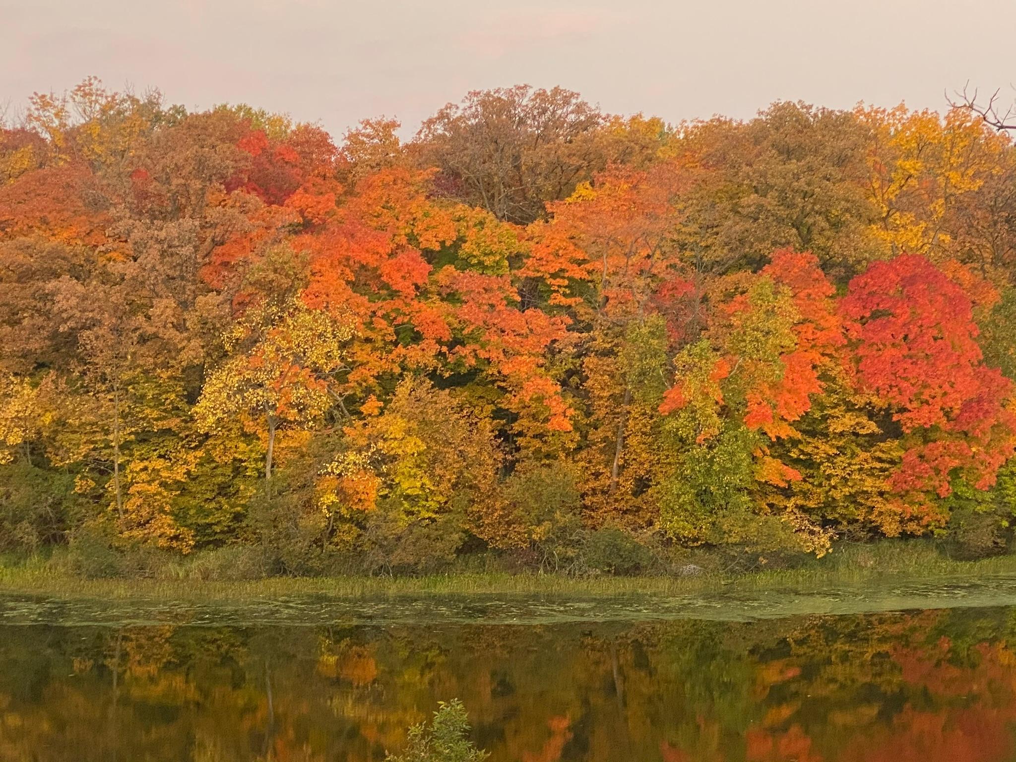 21168 Klein Road Detroit Lakes, MN 56501 - Photo 101 of 128