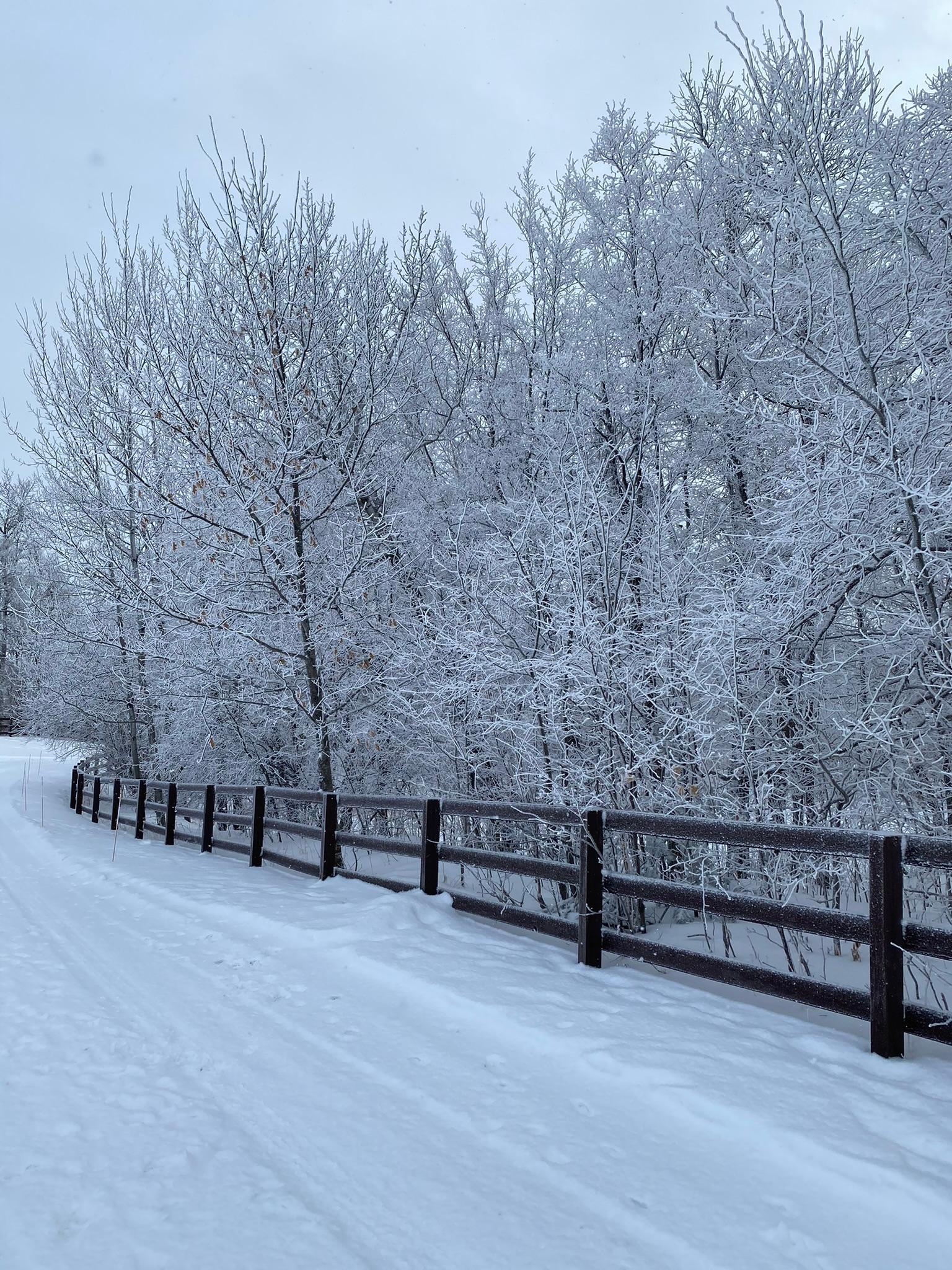 21168 Klein Road Detroit Lakes, MN 56501 - Photo 104 of 128