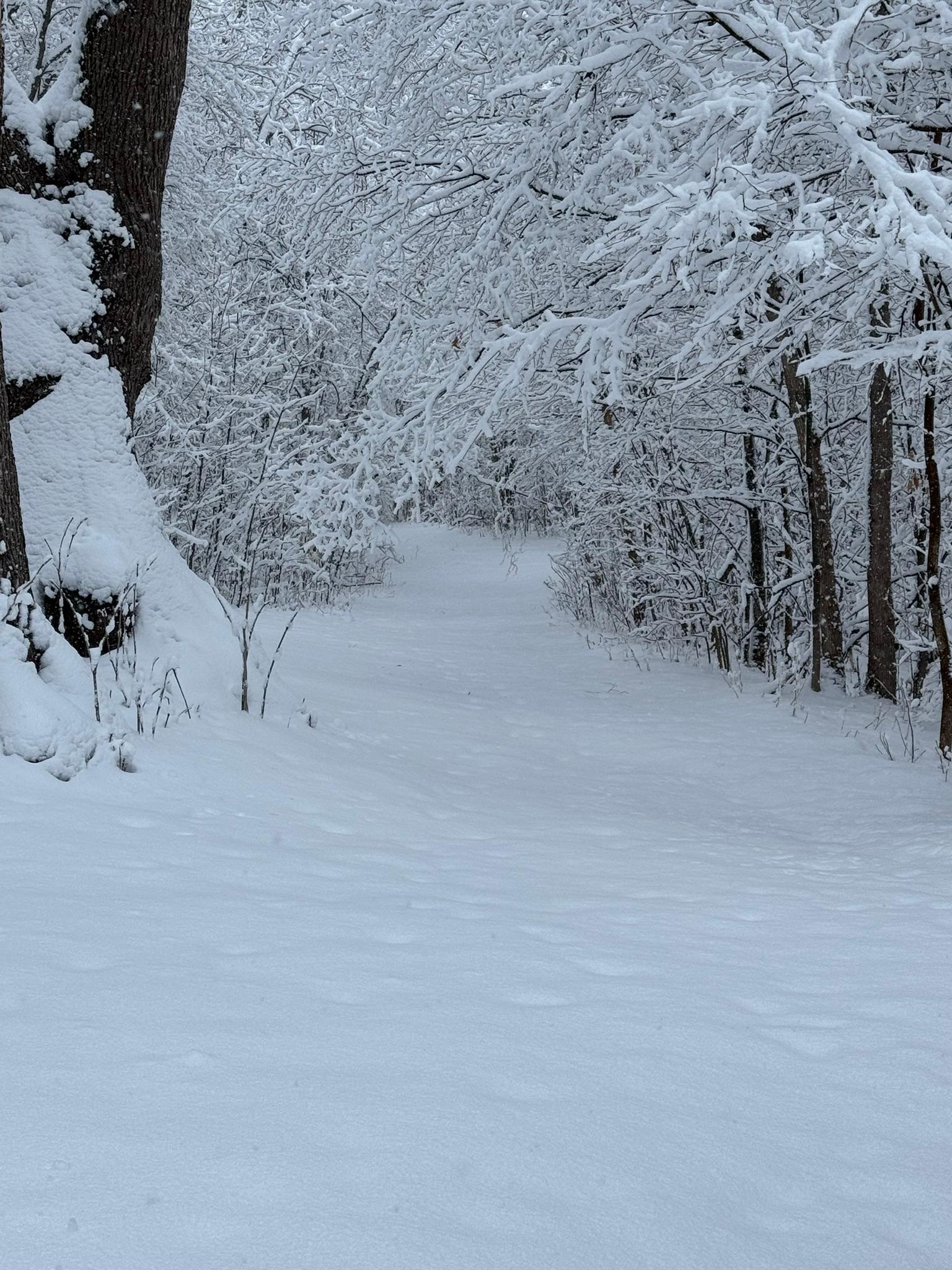 21168 Klein Road Detroit Lakes, MN 56501 - Photo 105 of 128
