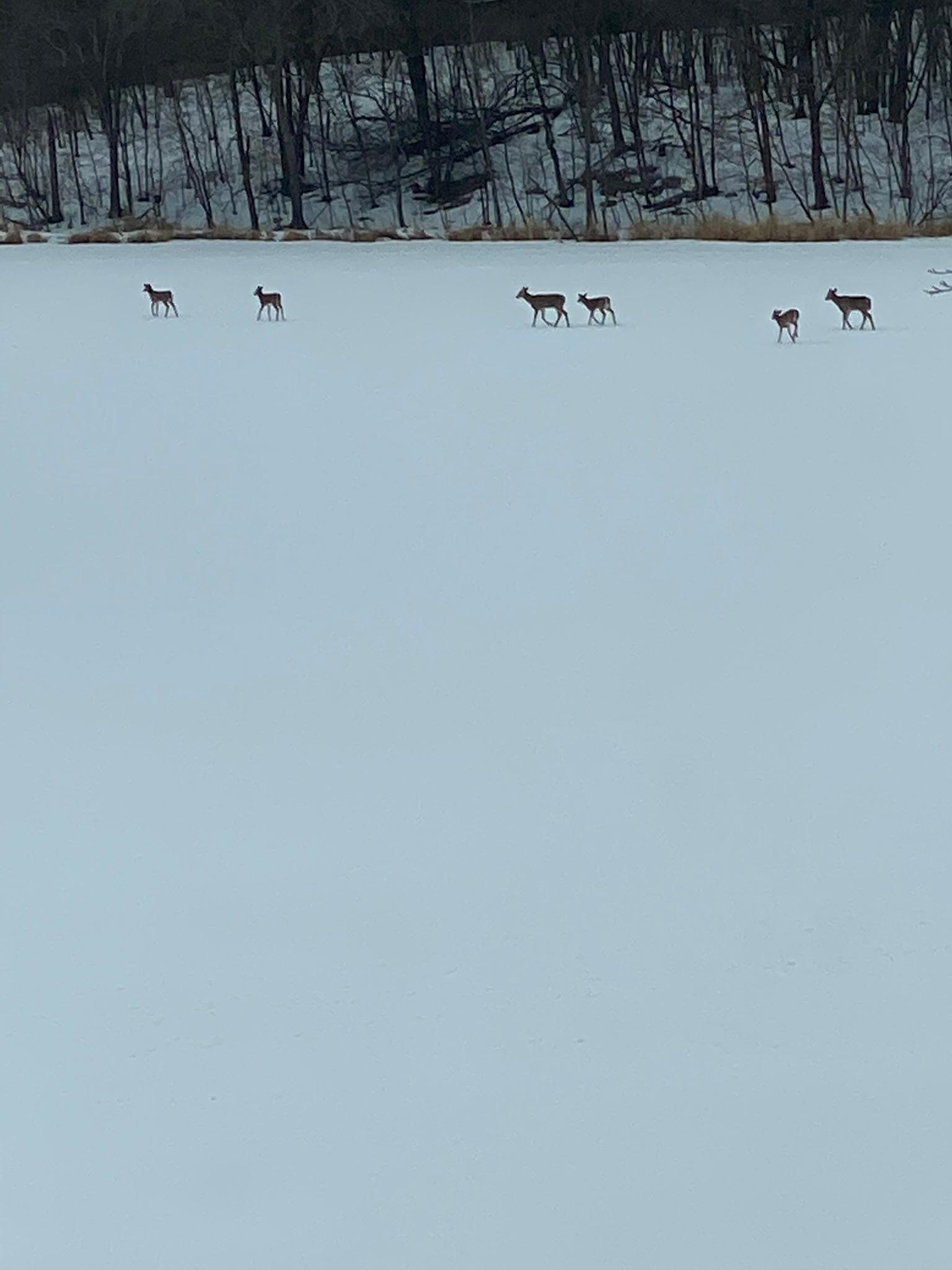 21168 Klein Road Detroit Lakes, MN 56501 - Photo 107 of 128