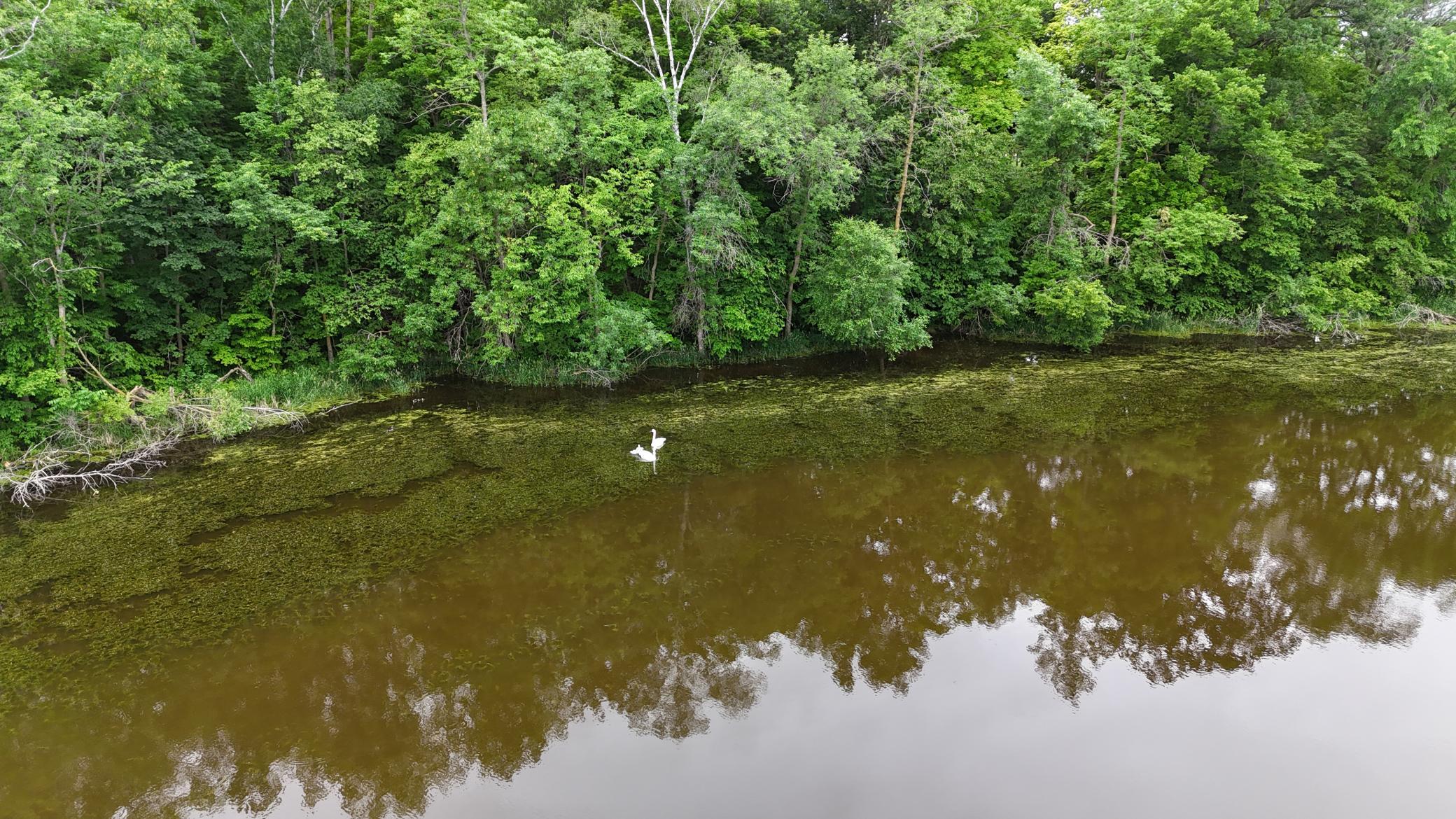 21168 Klein Road Detroit Lakes, MN 56501 - Photo 118 of 128