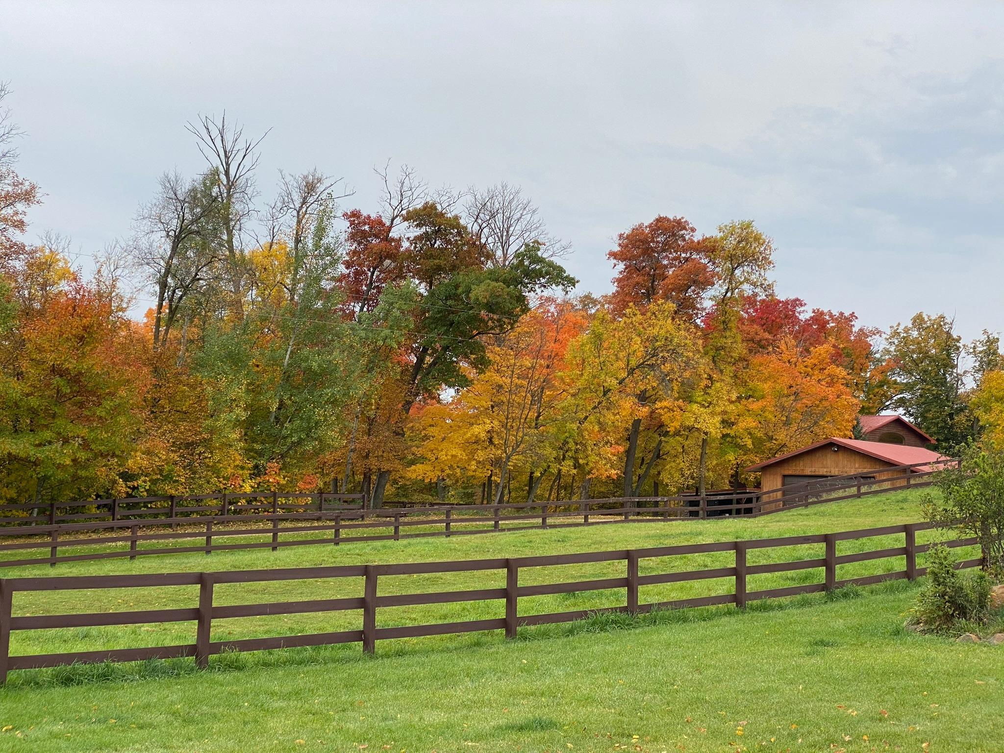 21168 Klein Road Detroit Lakes, MN 56501 - Photo 60 of 128