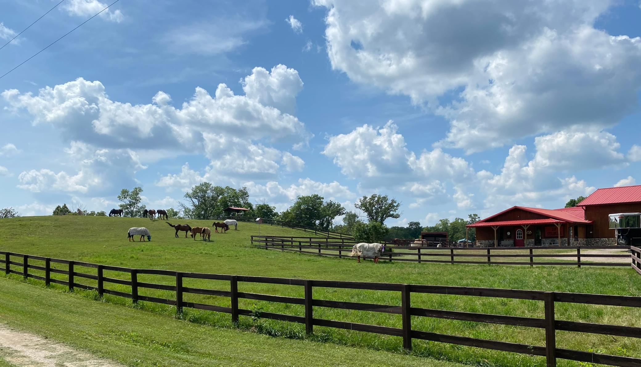 21168 Klein Road Detroit Lakes, MN 56501 - Photo 61 of 128