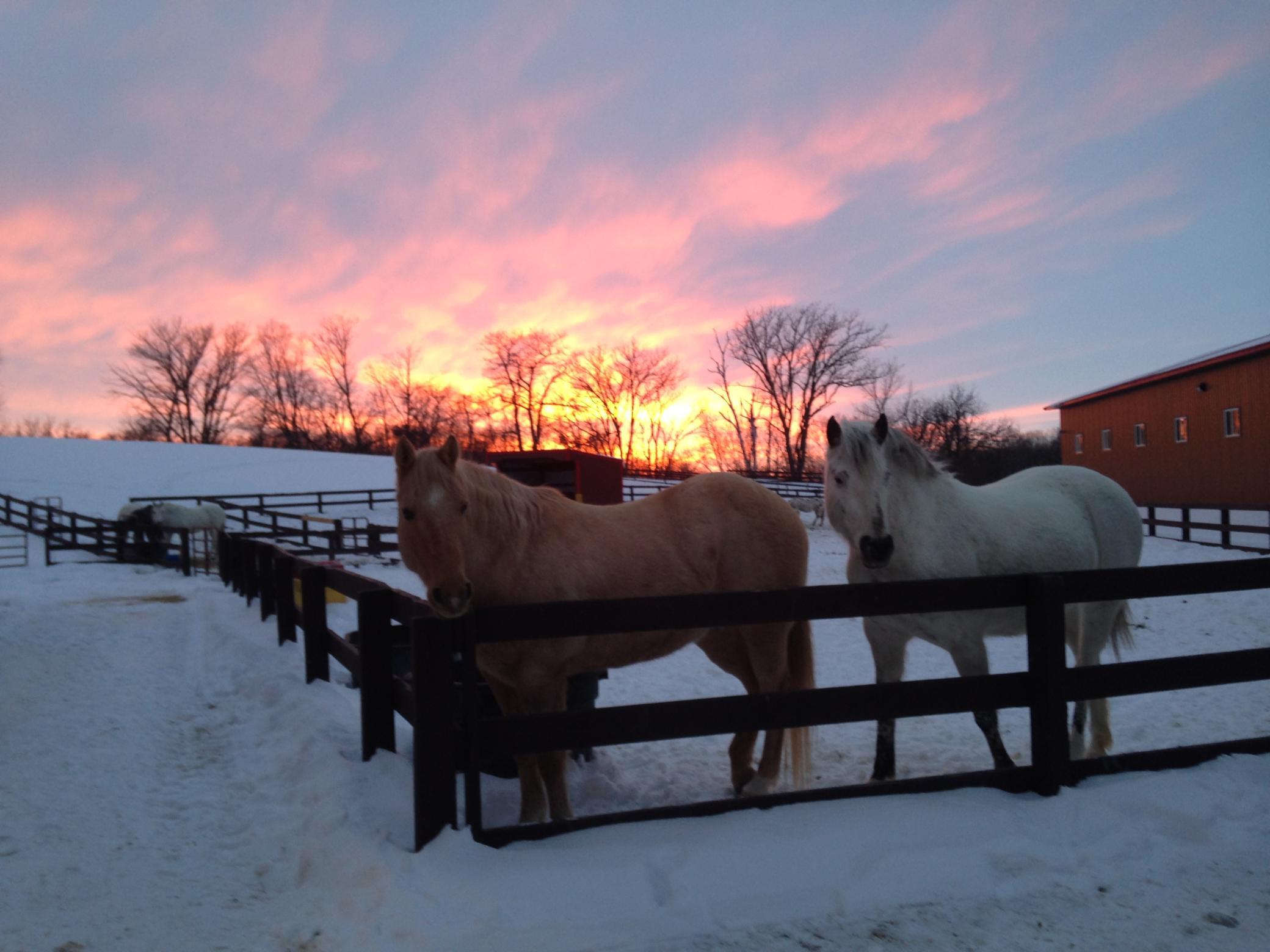 21168 Klein Road Detroit Lakes, MN 56501 - Photo 62 of 128