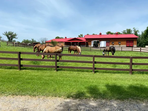 $1,599,000 | 21168 Klein Road, Detroit Lakes, MN 56501