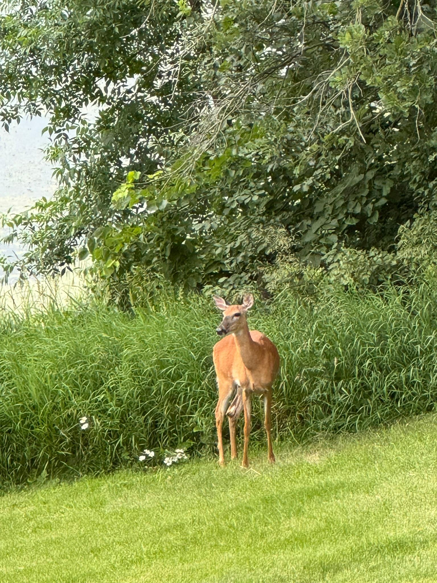 21168 Klein Road Detroit Lakes, MN 56501 - Photo 87 of 128