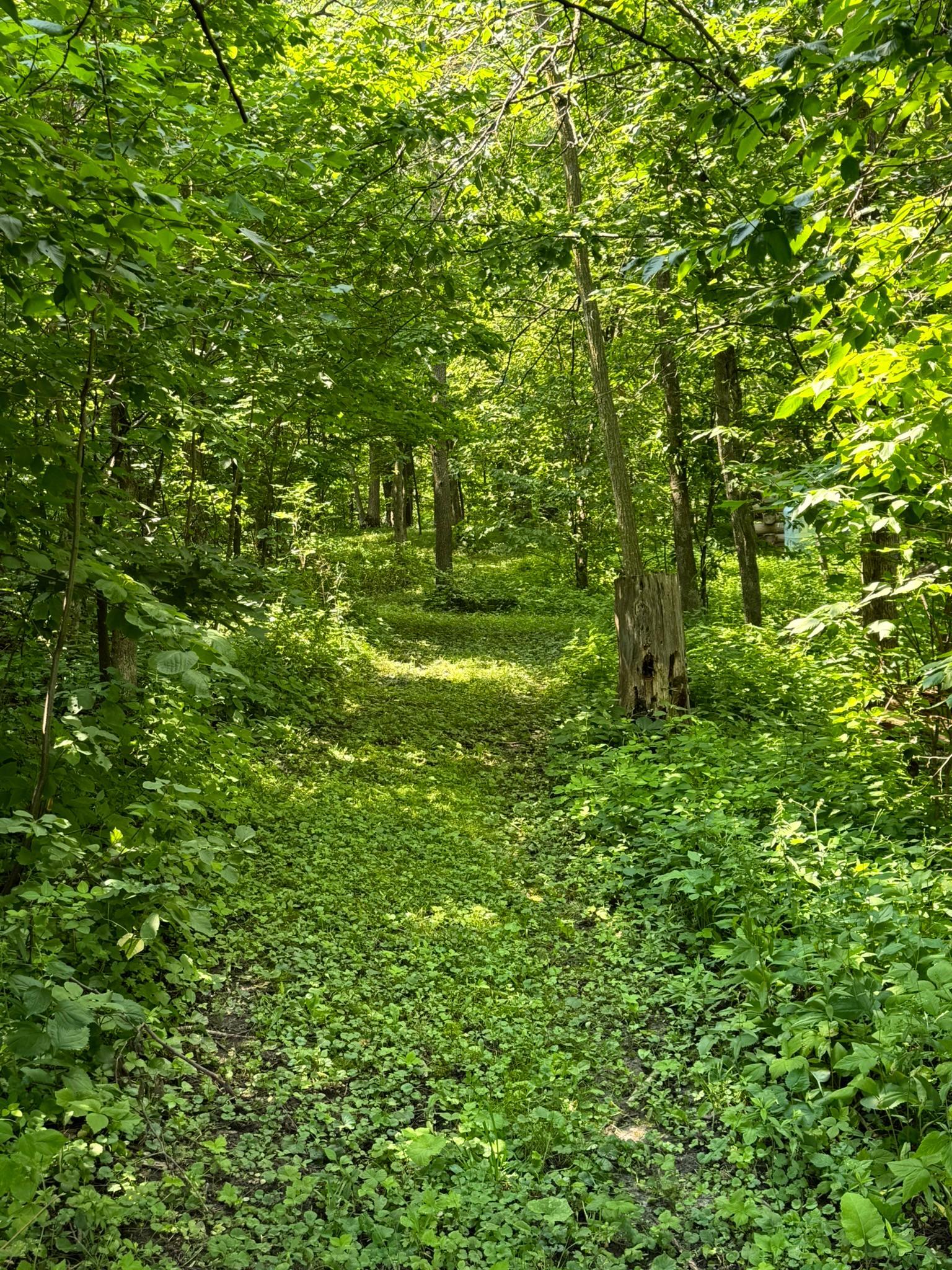 21168 Klein Road Detroit Lakes, MN 56501 - Photo 88 of 128