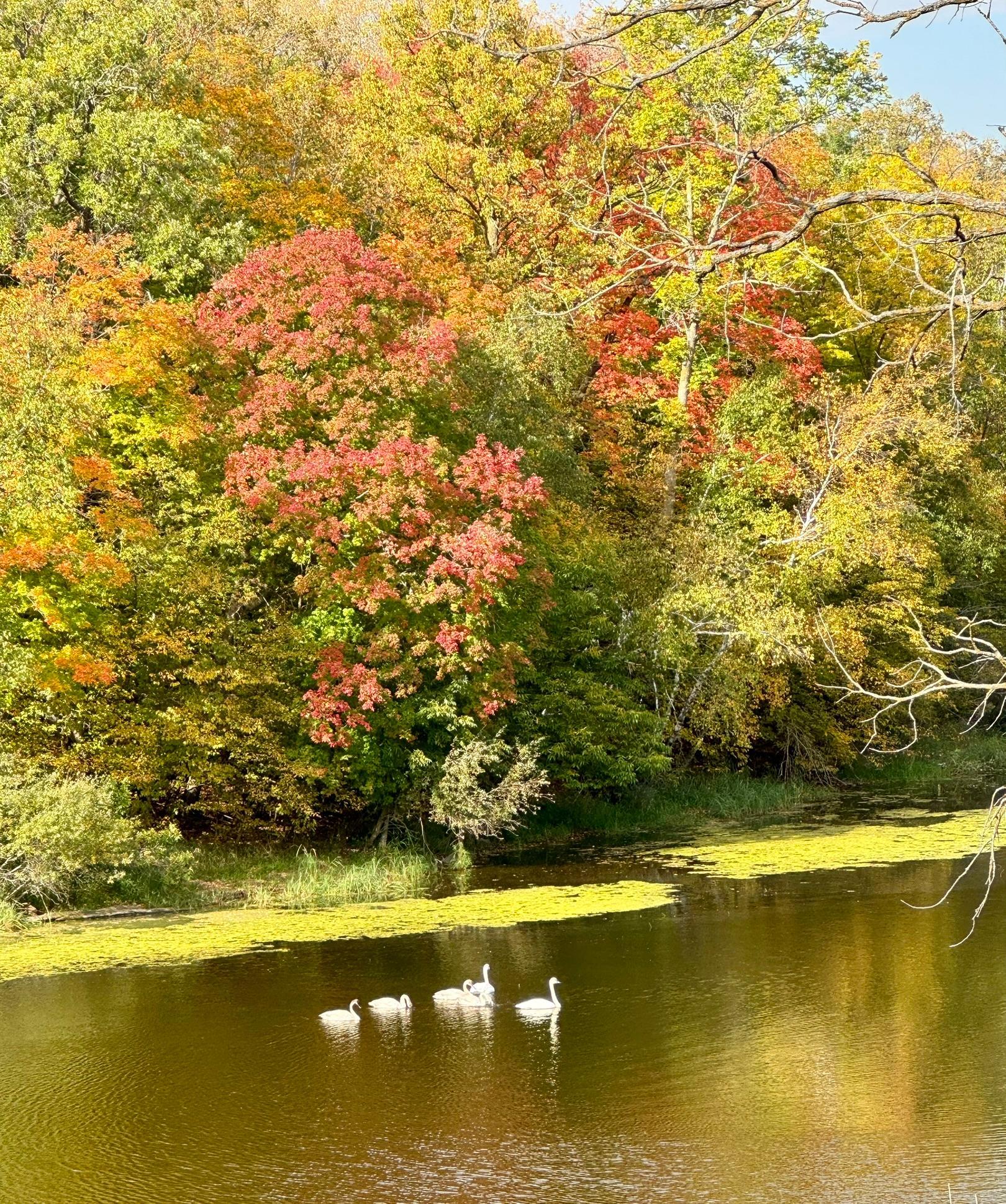 21168 Klein Road Detroit Lakes, MN 56501 - Photo 89 of 128