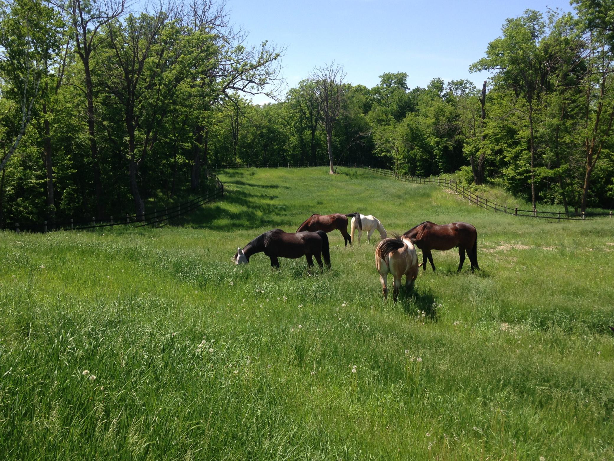 21168 Klein Road Detroit Lakes, MN 56501 - Photo 92 of 128