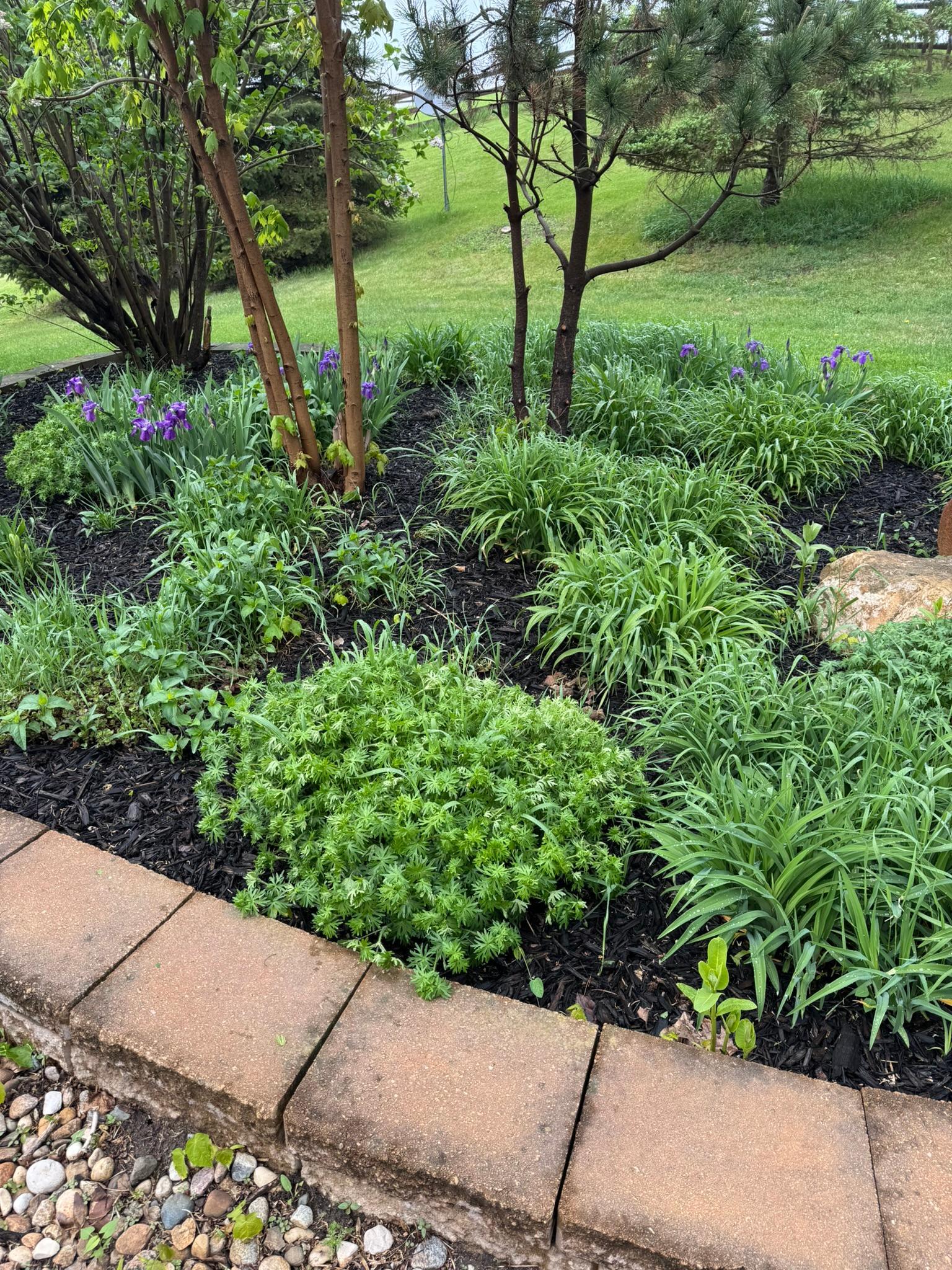 21168 Klein Road Detroit Lakes, MN 56501 - Photo 93 of 128