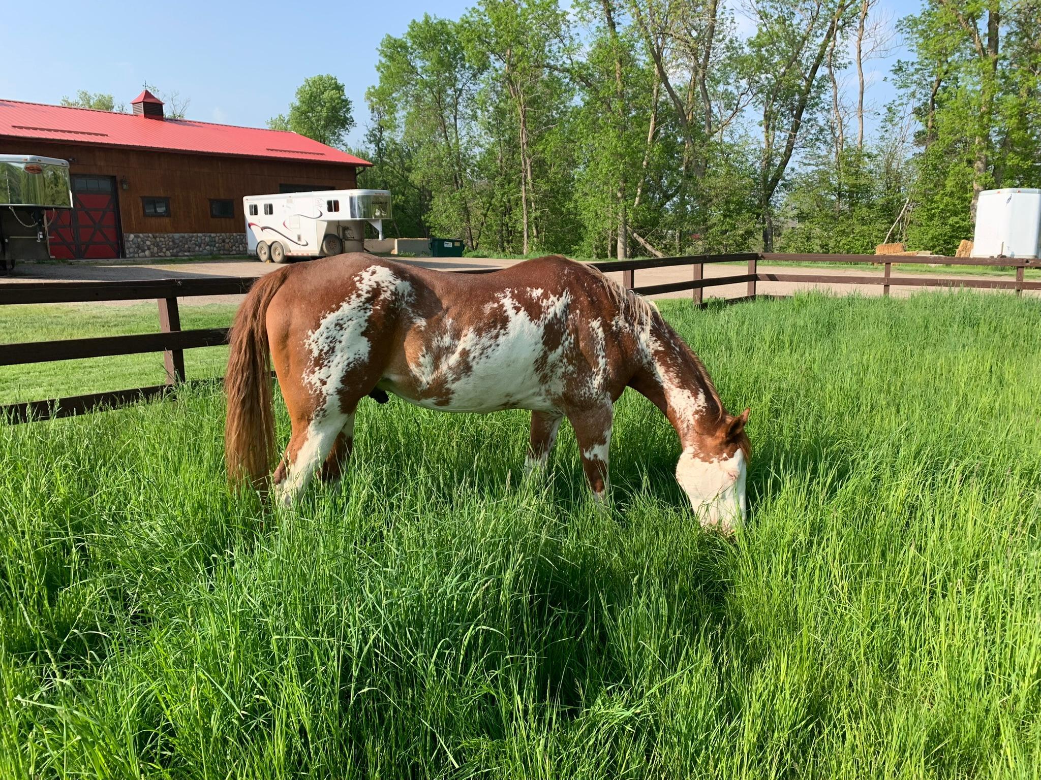21168 Klein Road Detroit Lakes, MN 56501 - Photo 95 of 128