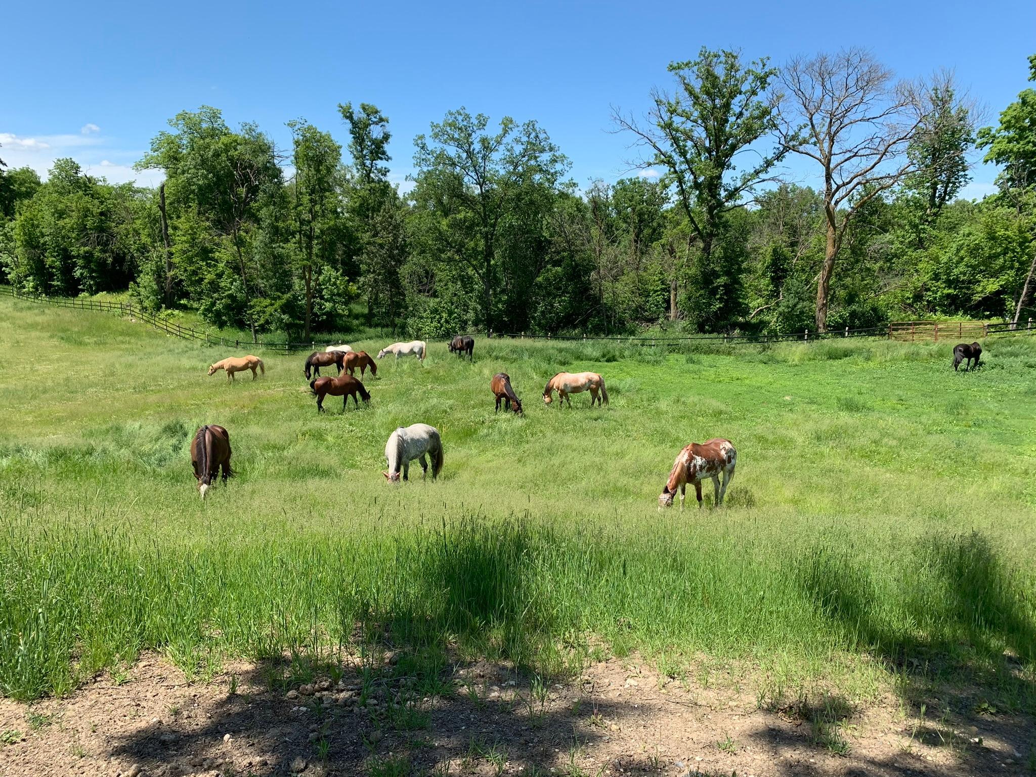 21168 Klein Road Detroit Lakes, MN 56501 - Photo 96 of 128